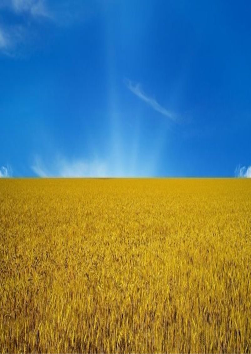 C:\Users\Admin\Desktop\0000057138-ukraina-flag.jpg